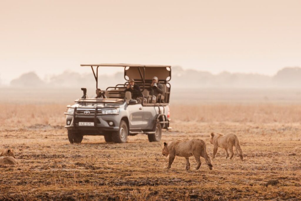 Wilderness Busanga Busch Camp, una experiencia auténtica en Zambia. (Foto: WBBC)
