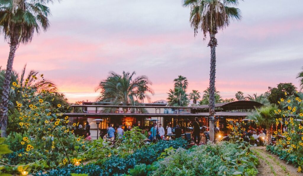 Flora Farms, uno de los restaurantes galardonados por Guía Michelin (Foto: Visita Los Cabos)