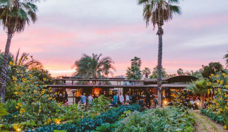 Flora Farms, uno de los restaurantes galardonados por Guía Michelin (Foto: Visita Los Cabos)
